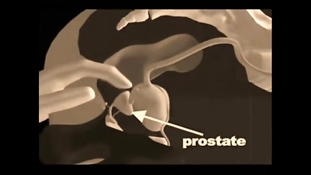 Une femme adulte organise un locataire, se meilleur film adulte masturbe et suggère le sexe.